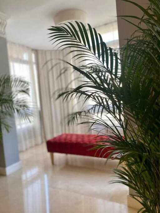 Apartment Pan Y Aceite 2 By Solymar *